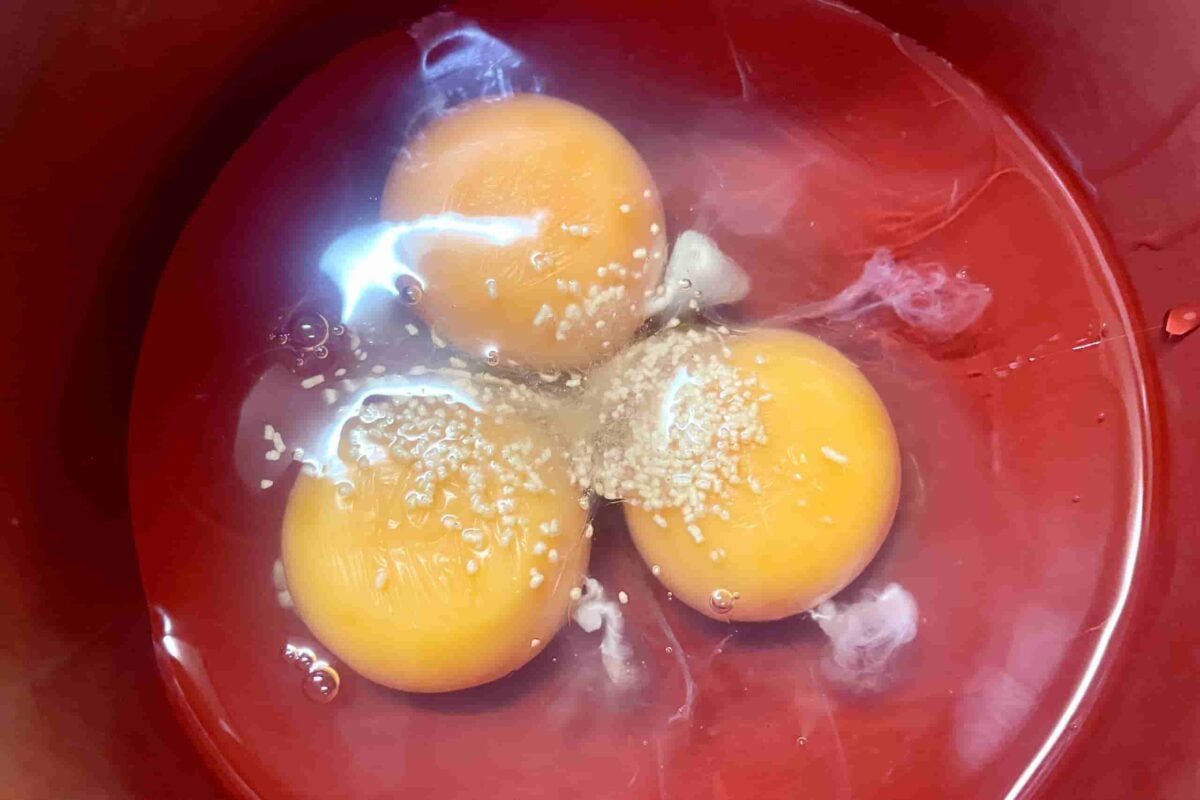 超痩せキャベツ焼き