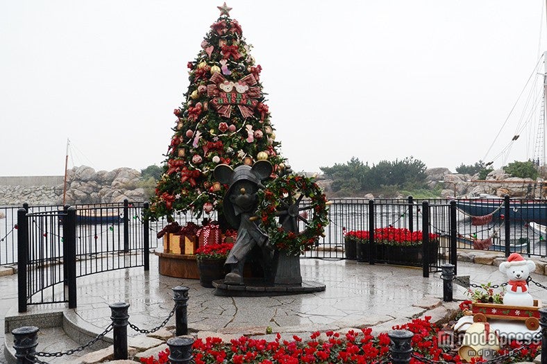 アメリカンウォーターフロントのケープコッドのツリー