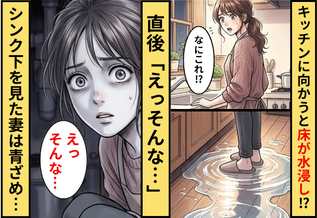 ある日、キッチンに向かうと床が水浸しに！？直後「えっそんな…」”シンク下”を見た妻が青ざめたワケ