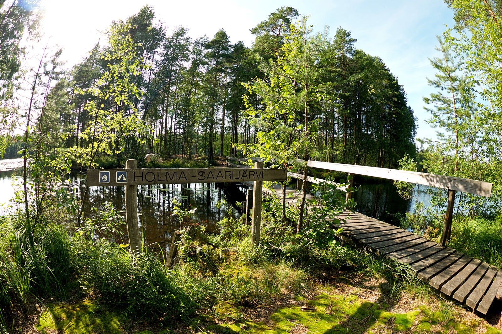 ヌークシオの森／画像提供：Visit Finland（フィンランド政府観光局）