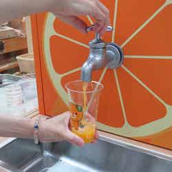 蛇口からみかんジュース!?「Orange BAR」松山空港に誕生/画像提供:松山空港ビル株式会社