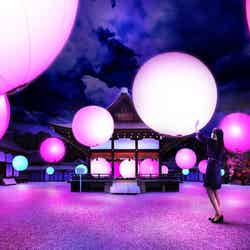 呼応する球体-下鴨神社 糺の森/画像提供:W media