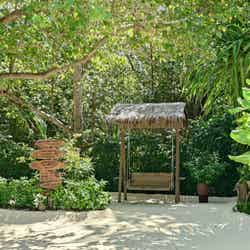 生い茂る植物や花々にも癒されて/提供画像