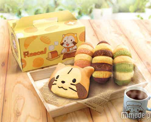 「あらいぐまラスカル」のパンが大阪に、笑顔やしっぽモチーフの愛らしさに悶絶