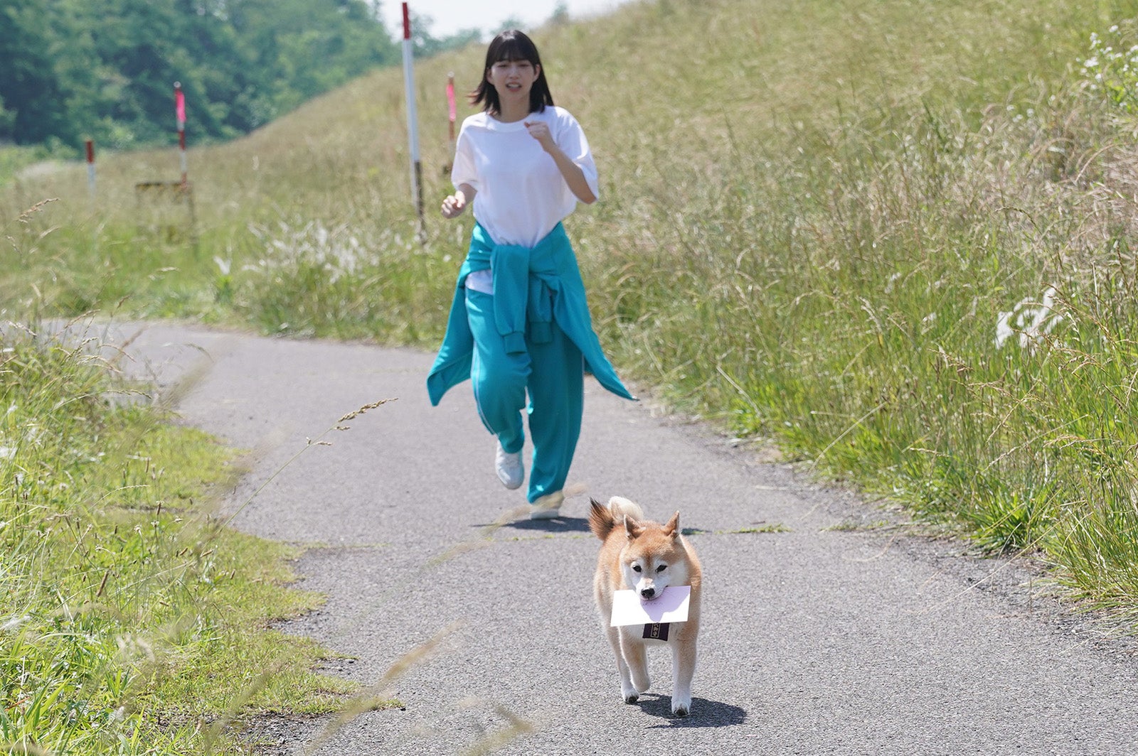 （中央）森川葵／「ナンバMG5」特別編より（C）フジテレビ