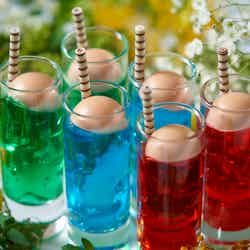 Healing Garden -New Retro Sweets×Glamping Recipes-/提供画像