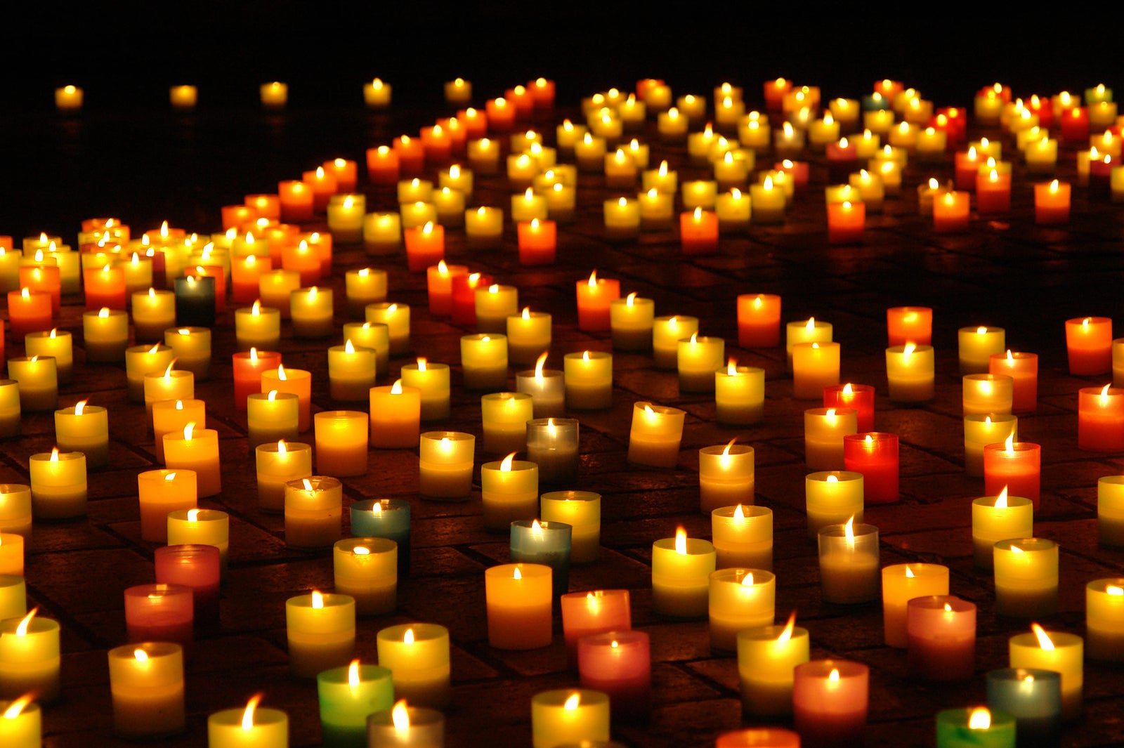 画像はイメージ（提供画像）