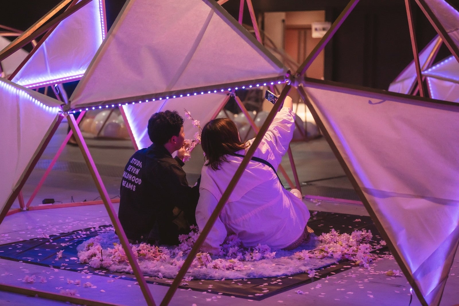 花見灯夜2026／提供画像