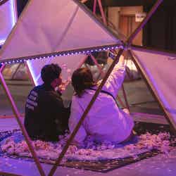 花見灯夜2026/提供画像