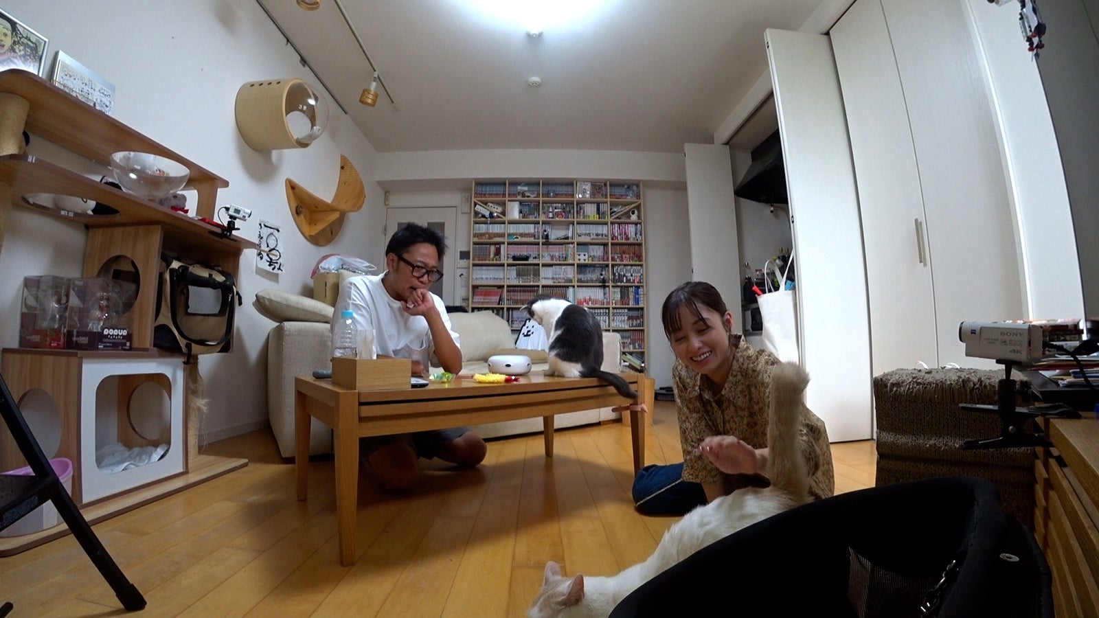 橋本環奈、サンシャイン池崎の自宅へ　2匹の愛猫を預かる