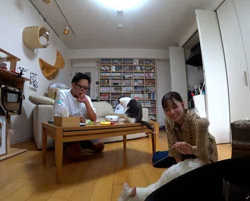 橋本環奈、サンシャイン池崎の自宅へ 2匹の愛猫を預かる