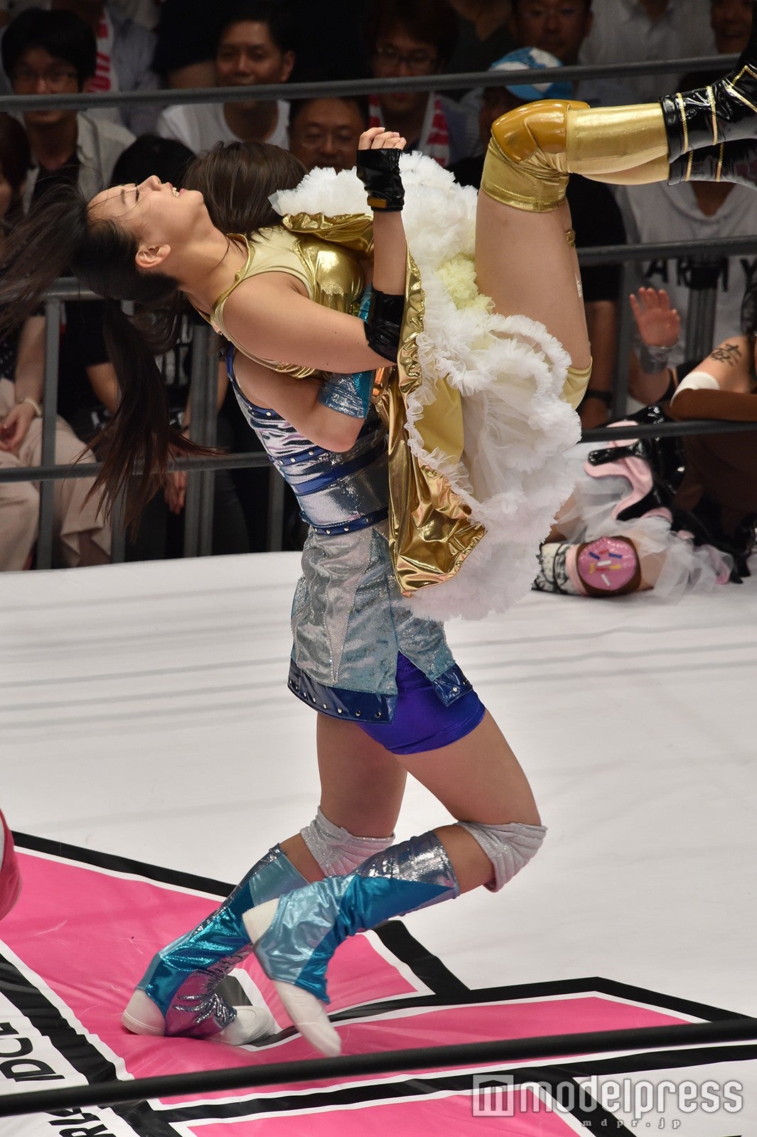 豆腐プロレス The REAL 2017 WIP CLIMAX（C）モデルプレス