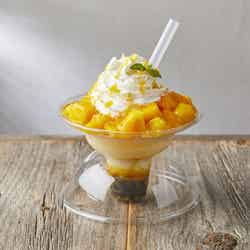 マンゴ―タピオカ ソルビンゴ(1,000円:税込)※イートイン・テイクアウト可/画像提供:SULBING PR事務局