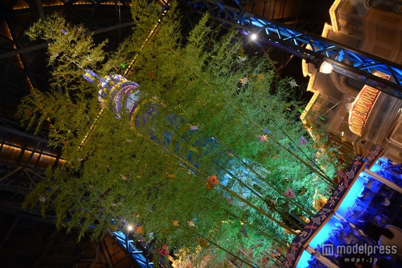 夜のウィッシングプレイス（TDL）