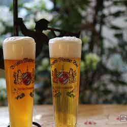 ドイツ産ビール／画像提供：明治商工