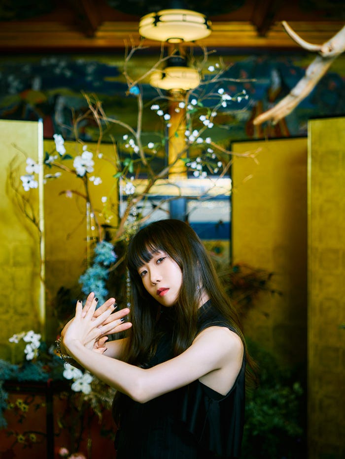 Aimer(提供写真)