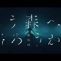 欅坂46「もう森へ帰ろうか？」MVより （提供画像）