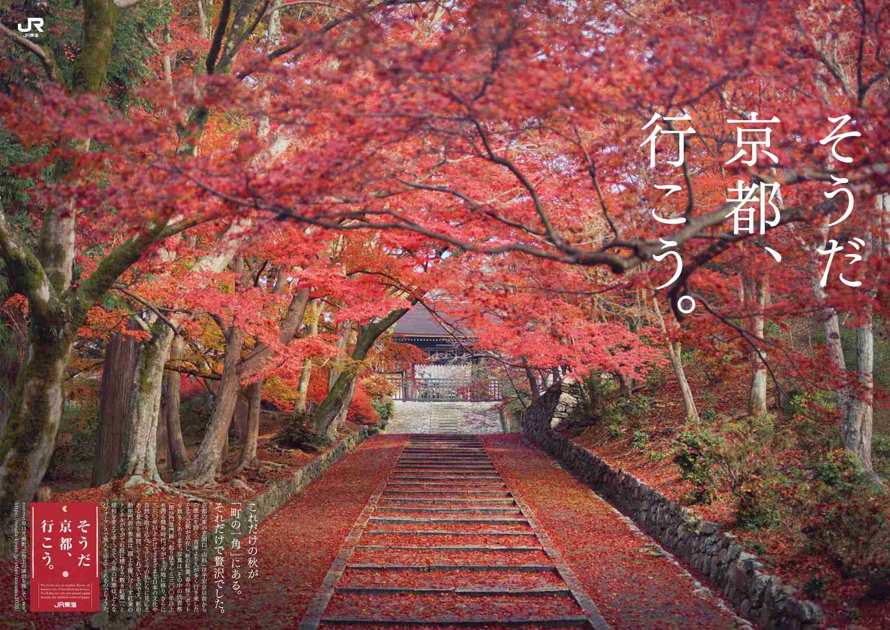 「そうだ 京都、行こう。」キャンペーンスタート！“圧倒的な秋”の感動体験を！