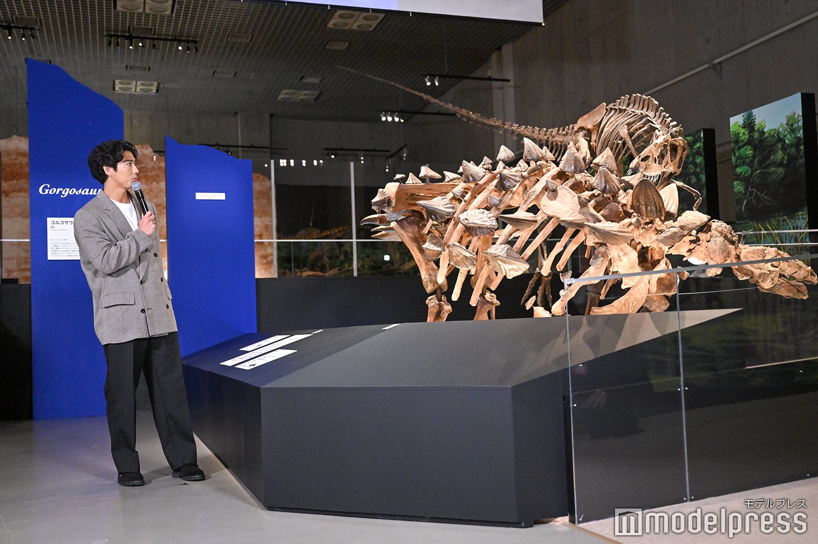 賀来賢人（C）モデルプレス