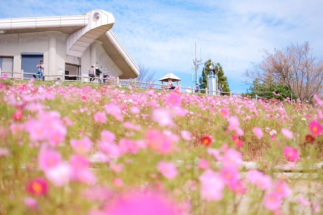 和歌山観光に迷ったらチェックして!行って損なし「おでかけスポット」16選