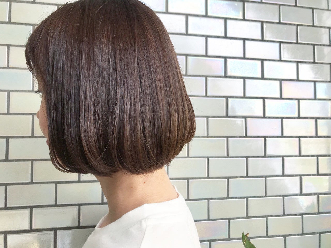 f1a8a715d09ce49351c8b2f229b1c2e6_4f410a0