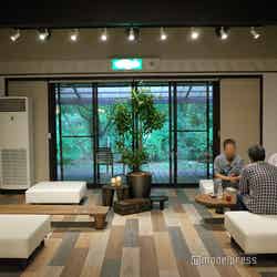 ミューの森(C)モデルプレス