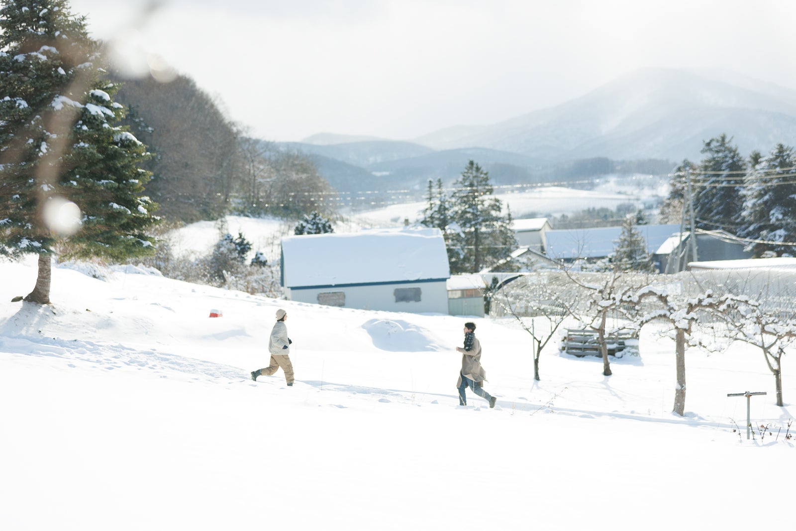 「さよならのつづき」（提供写真）