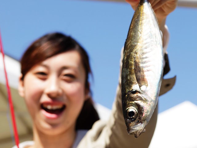 この夏に行きたい！京都・大阪・兵庫の「子どもと学びながら遊べるスポット」3選