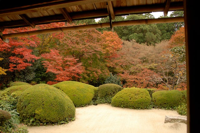 京都デートしたくなる紅葉スポット4選