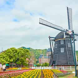オランダを連想させる風車のある風景（C）モデルプレス