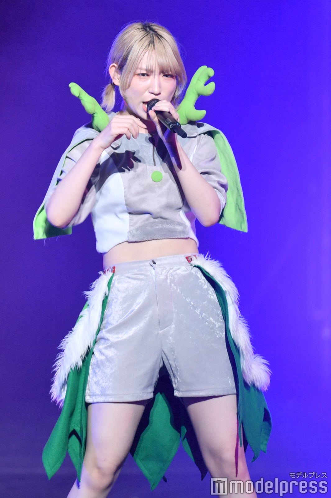 豆柴の大群（C）モデルプレス