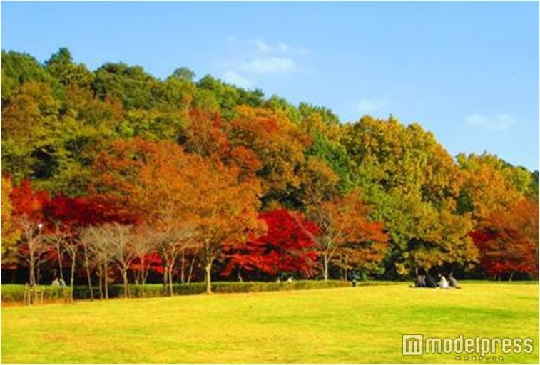 21世紀の森と広場／画像提供：松戸市役所