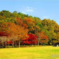 21世紀の森と広場/画像提供:松戸市役所