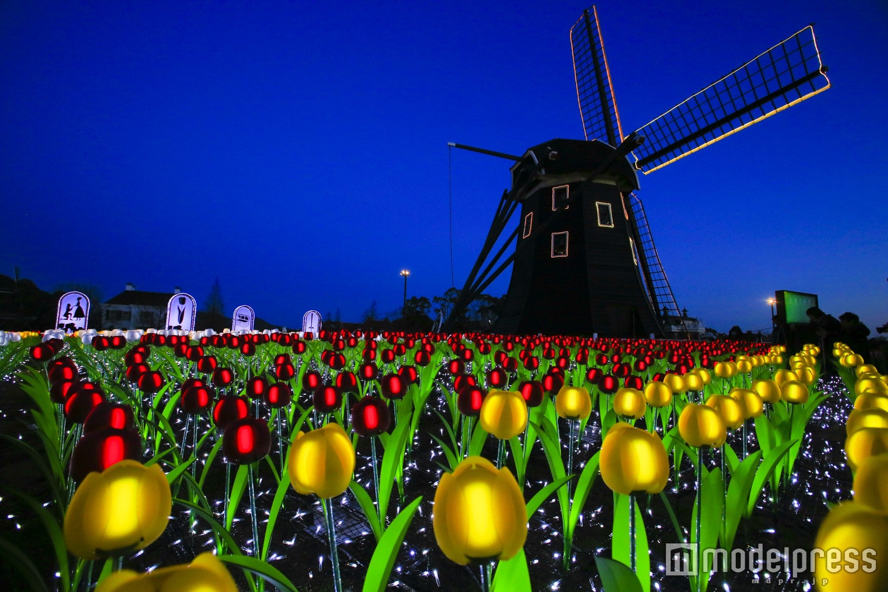 「光のチューリップ」（C）ハウステンボス／J-17078