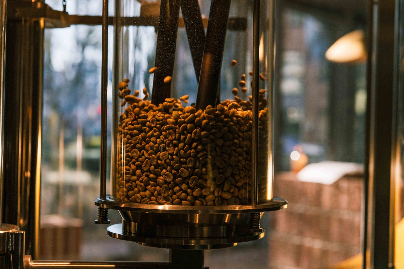 アオイ セレスティ コーヒー ロースタリー／提供画像