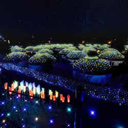 ひかりのすみか/画像提供:時之栖