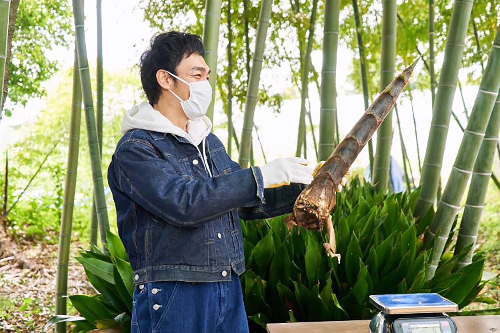 草なぎ剛 （C）なぎスケ！製作委員会