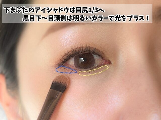 下まぶたは目尻側1/3