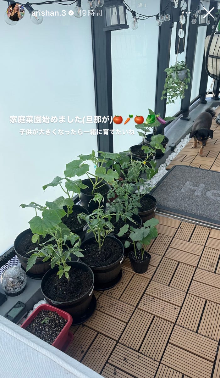 ありしゃん Instagramストーリーズより