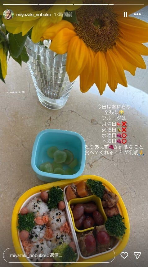 宮崎宣子Instagramストーリーズより