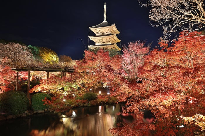 秋の京都は 夜の紅葉 夜パフェ が新定番 混雑回避の旅行プランも 女子旅プレス