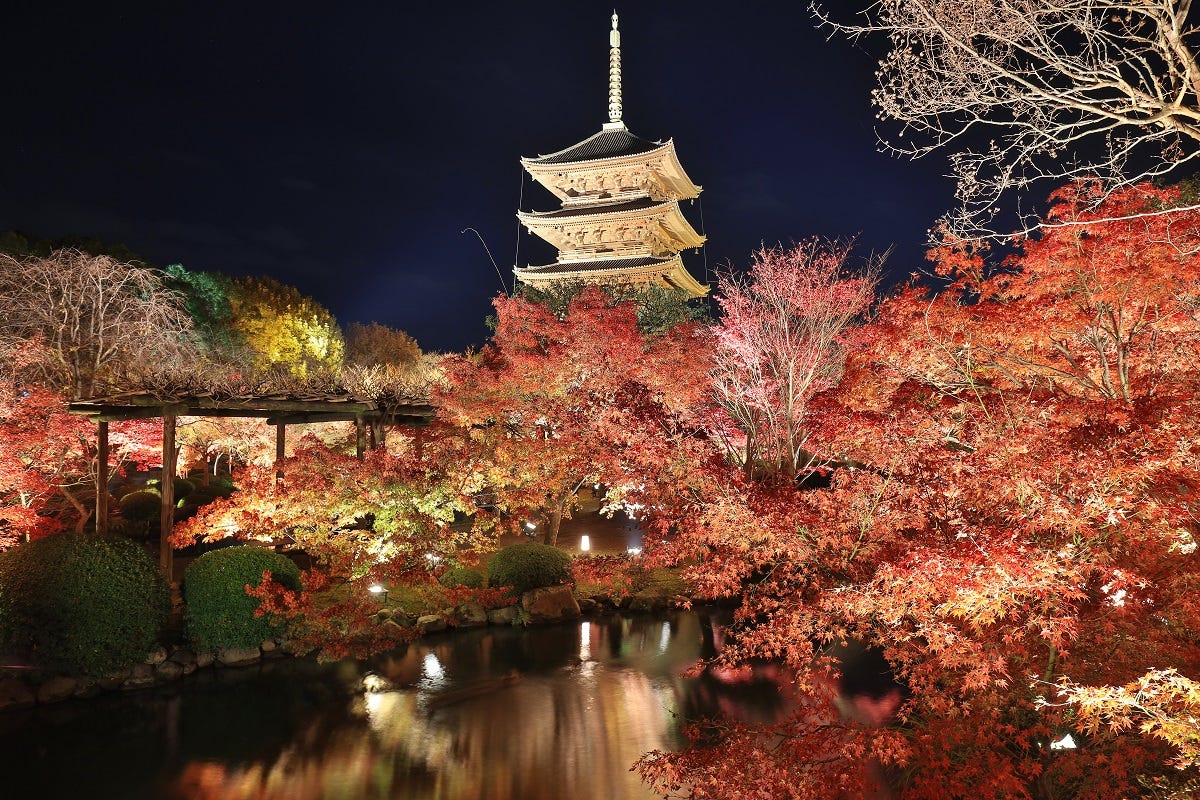 秋の京都は「夜の紅葉」&「夜パフェ」が新定番?混雑回避の旅行プランも