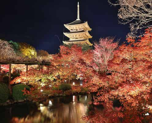 秋の京都は「夜の紅葉」&「夜パフェ」が新定番?混雑回避の旅行プランも