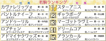 【若駒格付けチェック】牡馬1位はカヴァレリッツォ 類いまれな瞬発力を評価 牝馬1位のスターアニスはスピード能力優秀