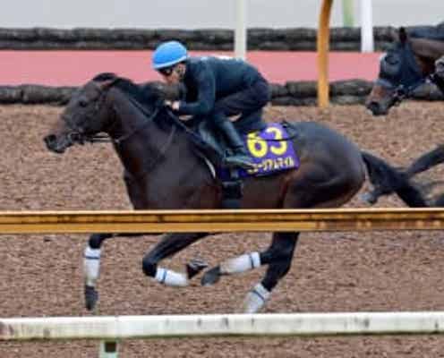 【天皇賞】ミュージアムマイル 豪快3馬身半先着 苦手の左回り克服で古豪撃破へ 高柳大師「左右の回りで差があるかも」
