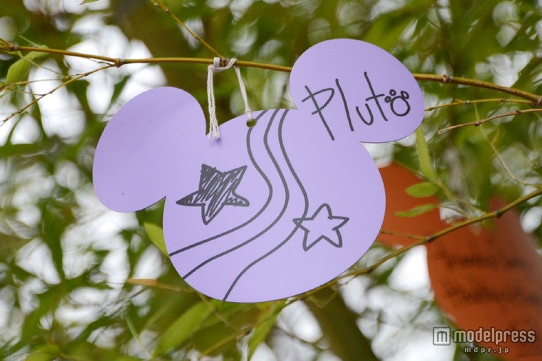 プルートの短冊