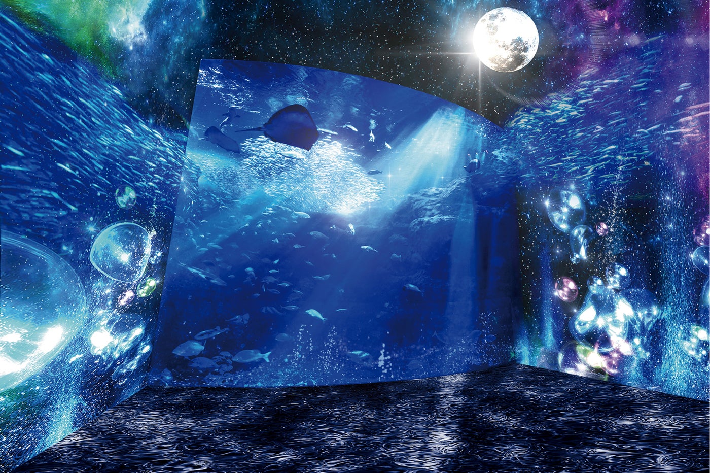 夜の海を体感する神秘的な時空間、新江ノ島水族館で夜間スペシャルイベント開催～／画像提供：新江ノ島水族館