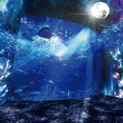 現在開催中の「ナイトワンダーアクアリウム2016～月光に漂う水族館～」パート1／画像提供：新江ノ島水族館