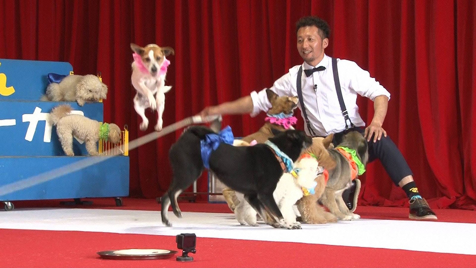 番組の様子 （C）フジテレビ