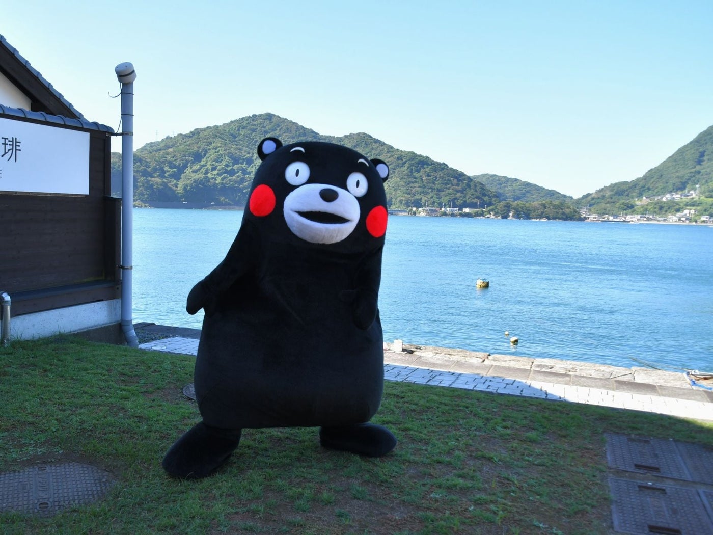 青空がお似合いのくまモン